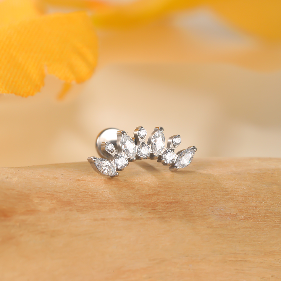 1PC Titanium Zirconia Dolphin  - Body Jewelry Internally Threaded 评论和价格