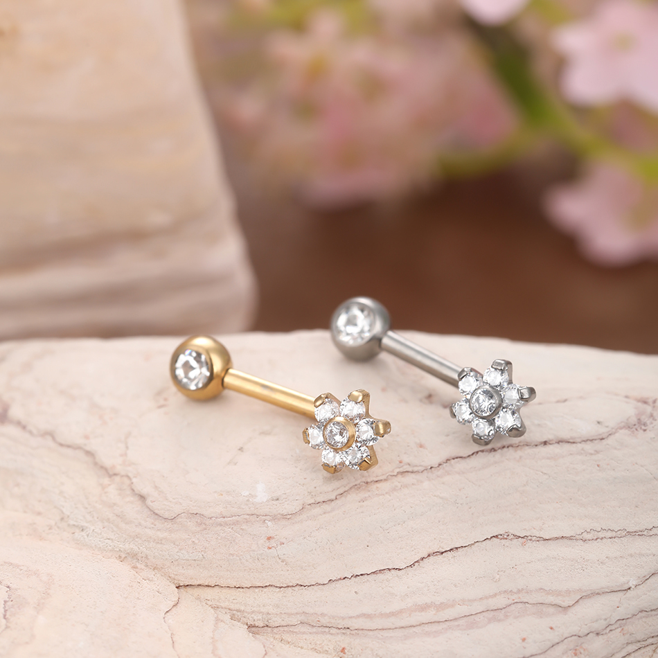 10pcs/lot Titanium Zircon Chri - Body Jewelry Vch 评论和价格