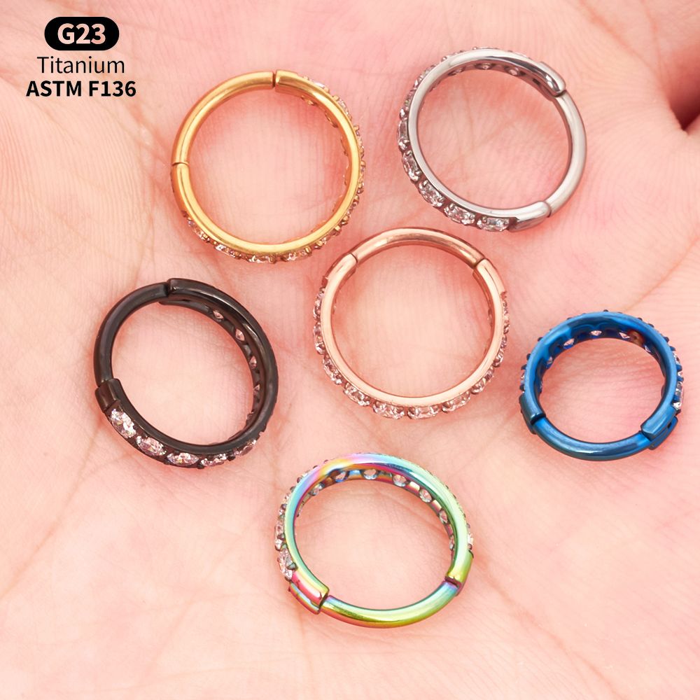 Titanium CZ Hinged Clicker Rin - Body Jewelry Vertical Labret 评论和价格